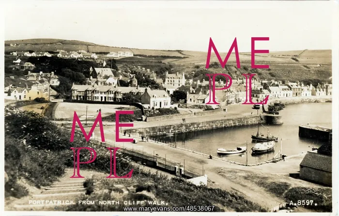 : The Harbour : The Harbour