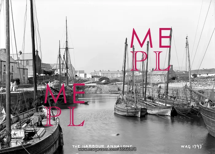 : The Harbour, Annalong : The Harbour, Annalong