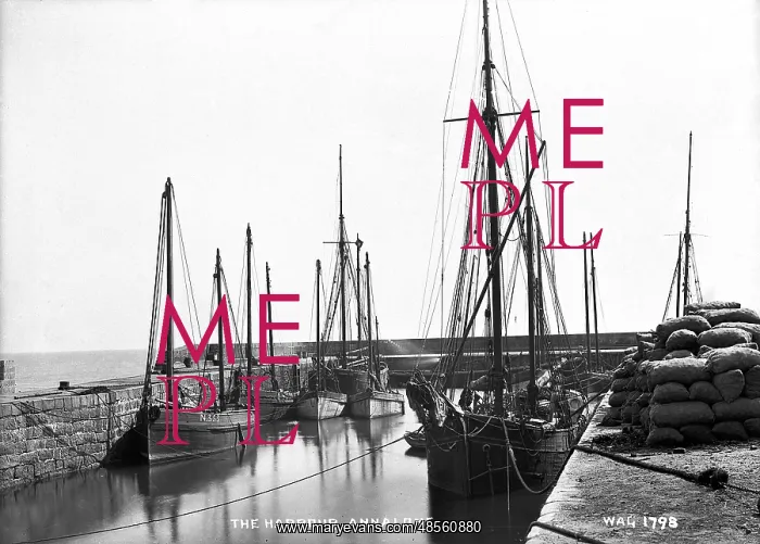: The Harbour, Annalong : The Harbour, Annalong