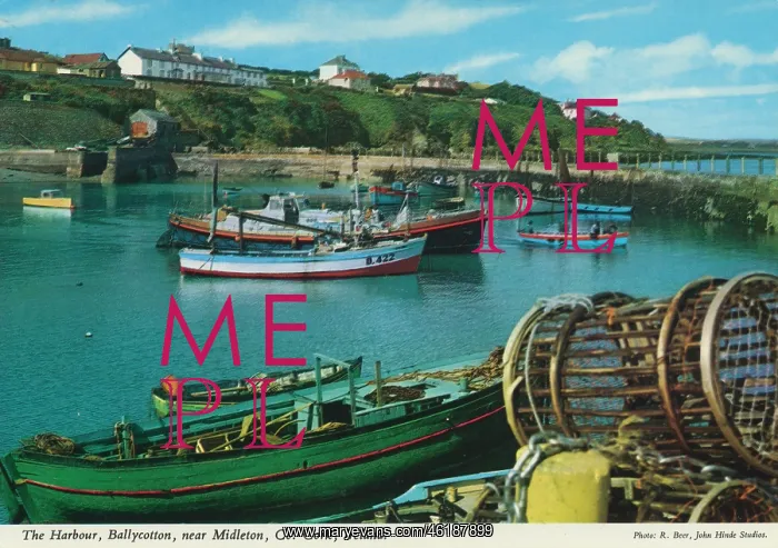 : The Harbour, Ballycotton, near Midleton, County Cork : The Harbour, Ballycotton, near Midleton, County Cork