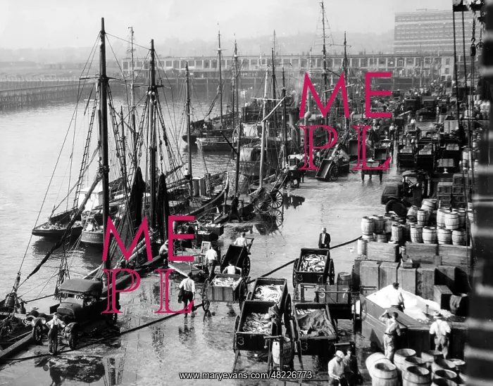 : Harbour of Boston, 1931 : Harbour of Boston, 1931