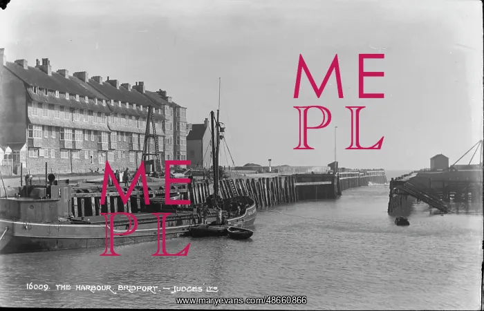 : The Harbour, Bridport : The Harbour, Bridport