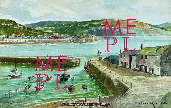 : The Harbour from The Cobb, Lyme Regis, Dorset : The Harbour from The Cobb, Lyme Regis, Dorset