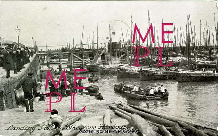 : The Harbour, Folkestone, Kent : The Harbour, Folkestone, Kent