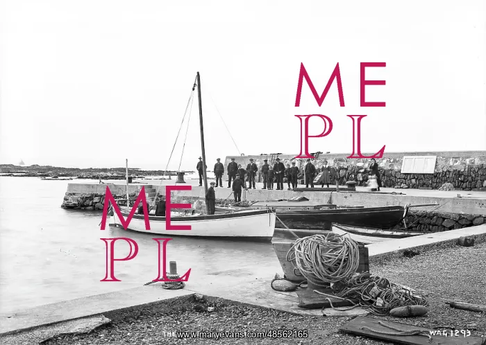 : The Harbour, Groomsport : The Harbour, Groomsport
