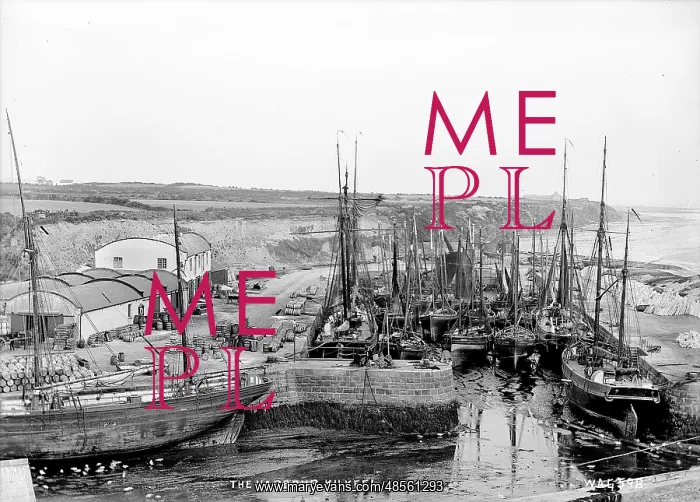 : The Harbour, Kilkeel : The Harbour, Kilkeel