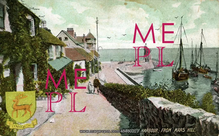 : Harbour - From Mars Hill, Lynmouth, Devon : Harbour - From Mars Hill, Lynmouth, Devon