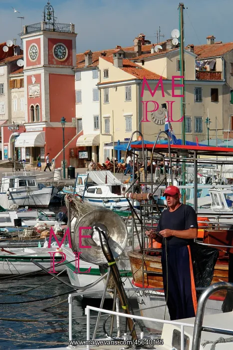 : Harbour and old town, Rovinj, Croatia : Harbour and old town, Rovinj, Croatia