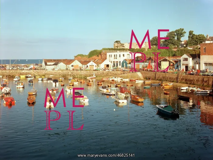: The harbour, Paignton : The harbour, Paignton
