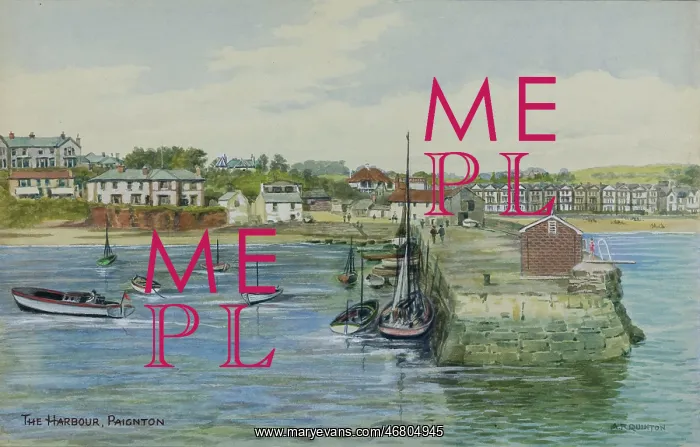 : Harbour at Paignton, Devon : Harbour at Paignton, Devon