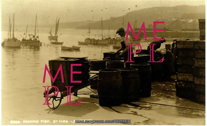 : The Harbour, St Ives, Cornwall : The Harbour, St Ives, Cornwall