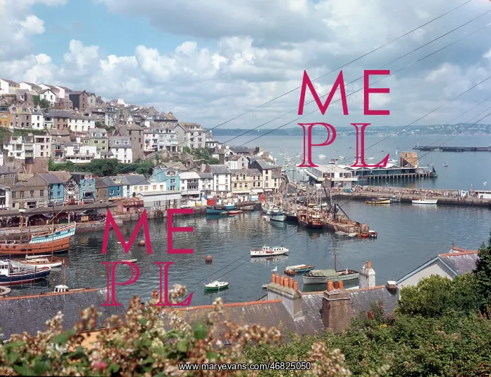 : The Harbour and Torbay, Brixham : The Harbour and Torbay, Brixham