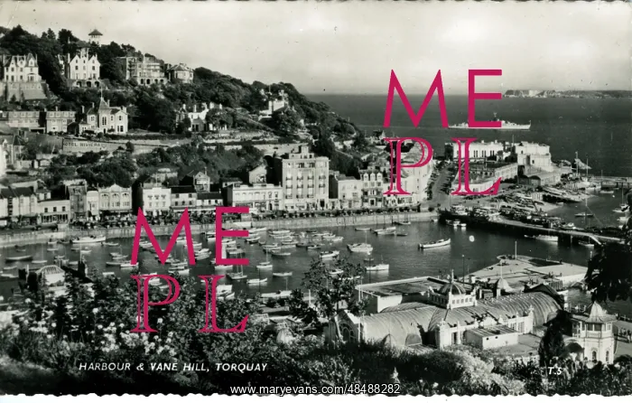 : Harbour & Vane Hill, Torquay, Devon : Harbour & Vane Hill, Torquay, Devon
