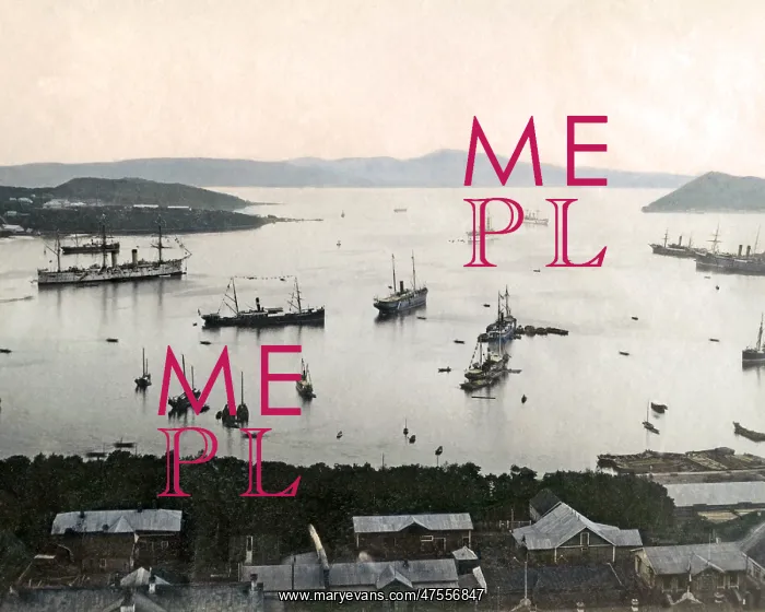 : The harbour of Vladivostok : The harbour of Vladivostok