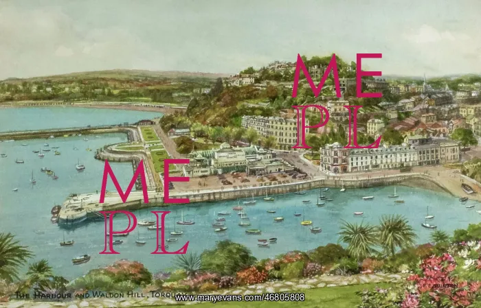 : The Harbour and Waldon Hill, Torquay, Devon : The Harbour and Waldon Hill, Torquay, Devon