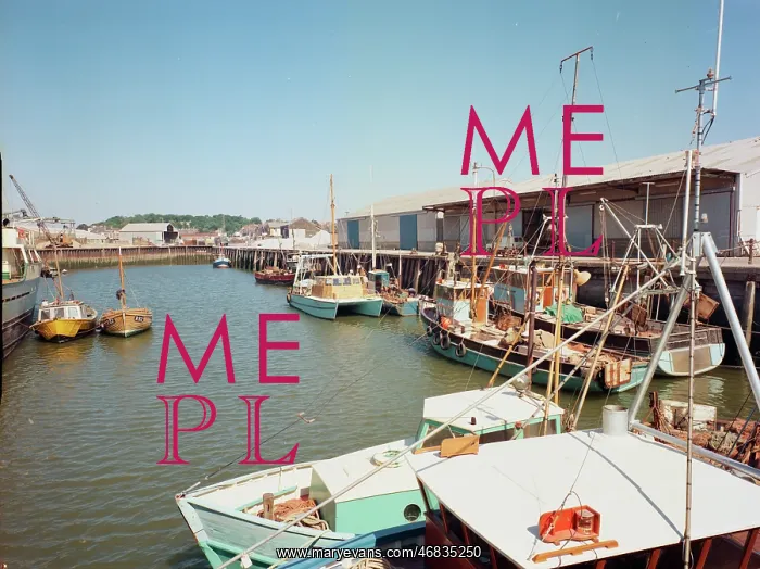 : The harbour, Whitstable : The harbour, Whitstable