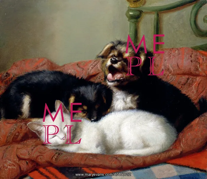 : Its a Hard Life - Cat with Two Puppies : Its a Hard Life - Cat with Two Puppies