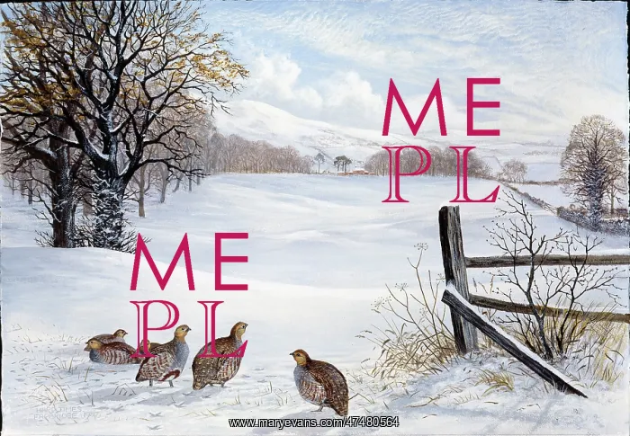 : Hard Times ' partridges in snow : Hard Times ' partridges in snow