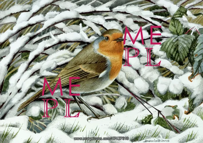  : Hard Times ? robin in snowy brambles