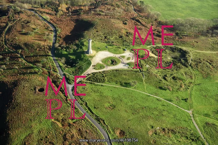 : The Hardy Monument, Black Down, Dorset : The Hardy Monument, Black Down, Dorset