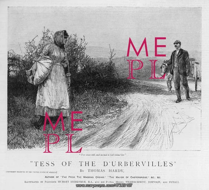 : HARDY / TESS D'URBERVILLES : HARDY / TESS D'URBERVILLES