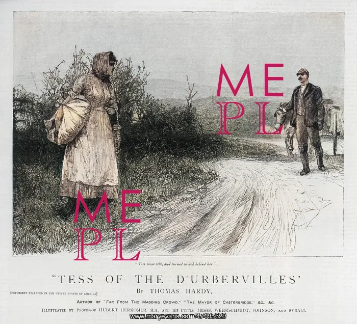 : HARDY / TESS D'URBERVILLES : HARDY / TESS D'URBERVILLES