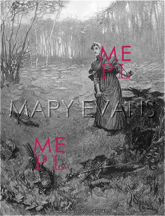 : HARDY / TESS D'URBERVILLES : HARDY / TESS D'URBERVILLES