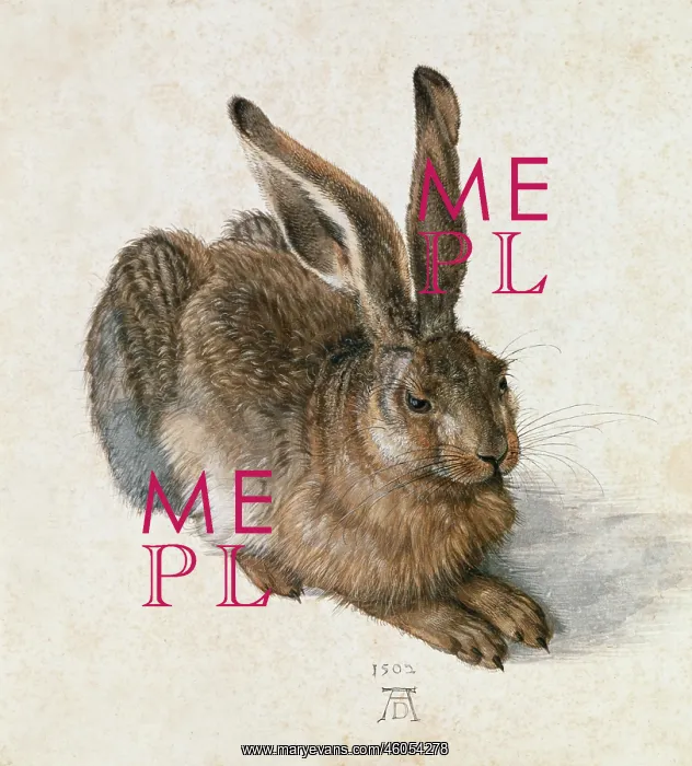  : Hare, 1502. Duerer, Albrecht (1471-1528), Watercolour