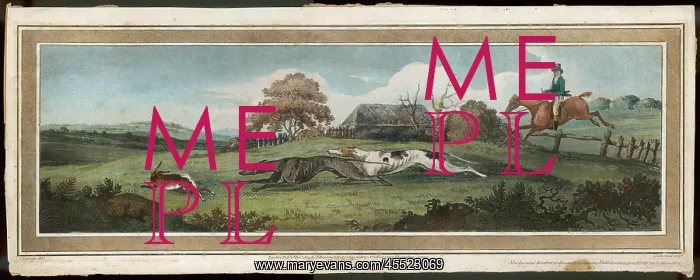 : HARE COURSING 1809 : HARE COURSING 1809