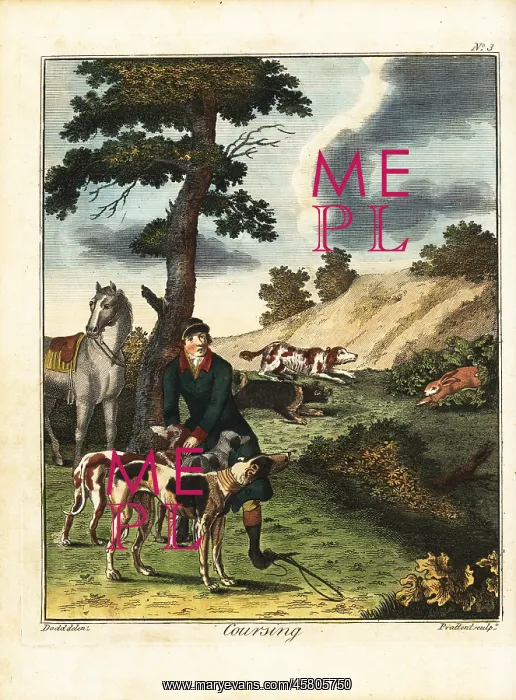 : Hare coursing, 18th century : Hare coursing, 18th century
