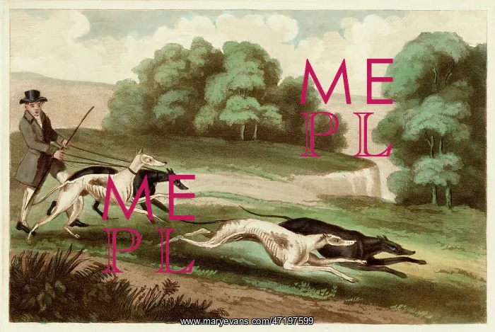  : Hare coursing