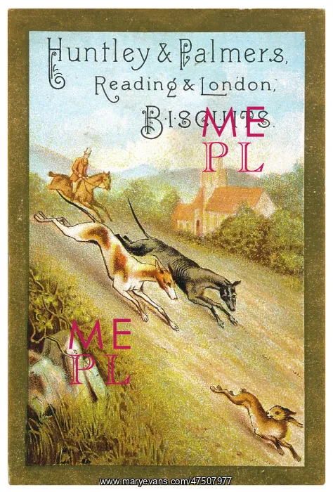  : HARE COURSING