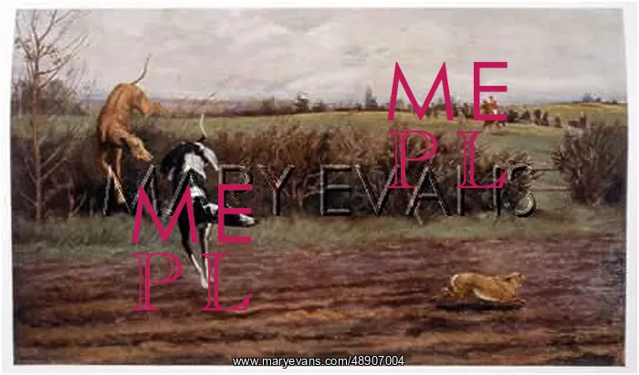 : HARE COURSING (CALDERON) : HARE COURSING (CALDERON)
