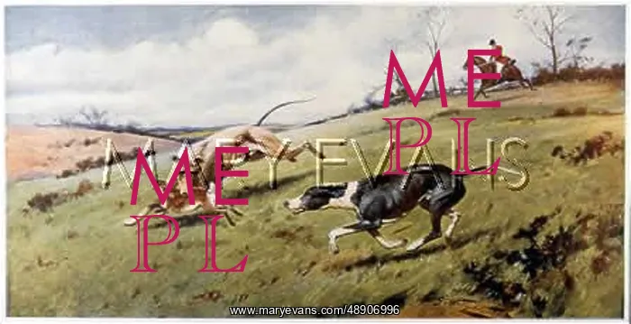 : HARE COURSING (WRIGHT) : HARE COURSING (WRIGHT)