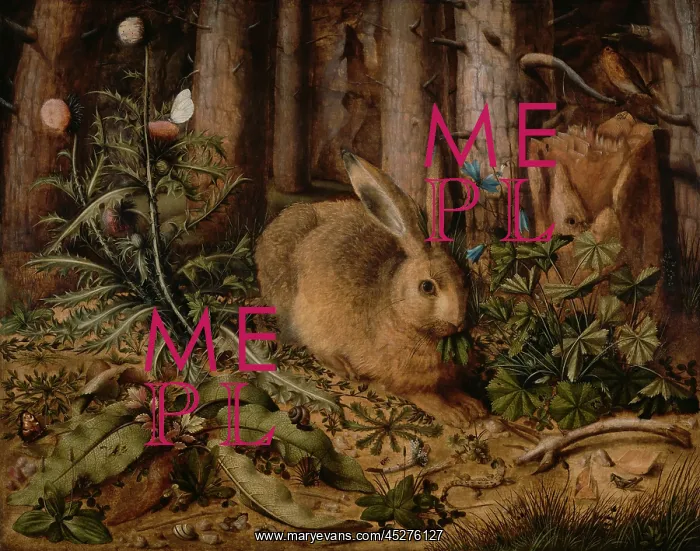 : A Hare in the Forest : A Hare in the Forest