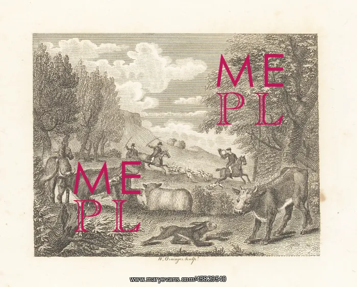  : The Hare and Many Friends