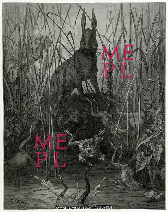 : THE HARE AND THE FROGS : THE HARE AND THE FROGS