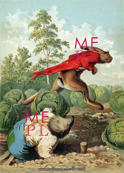  : Hare and Hedgehog