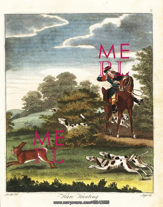 : Hare hunting, 18th century : Hare hunting, 18th century