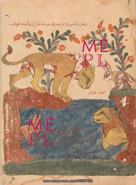 : The Hare, the Lion, and the Well, Folio from : The Hare, the Lion, and the Well, Folio from