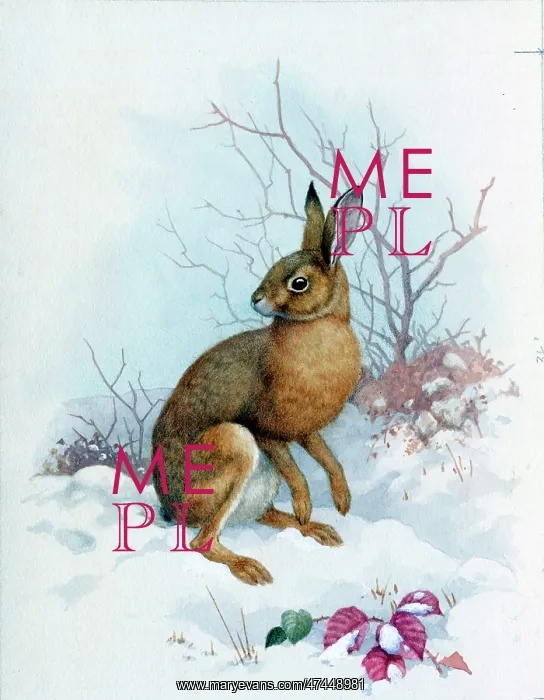  : A Hare in the Snow