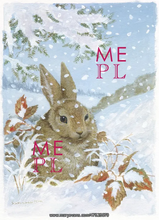  : A Hare in the Snow