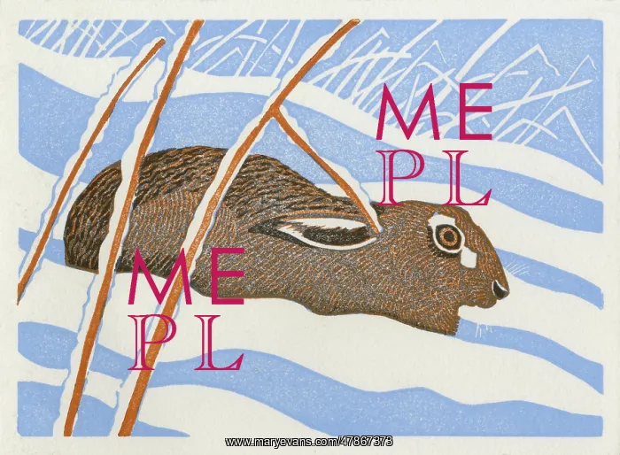 : HARE IN THE SNOW : HARE IN THE SNOW