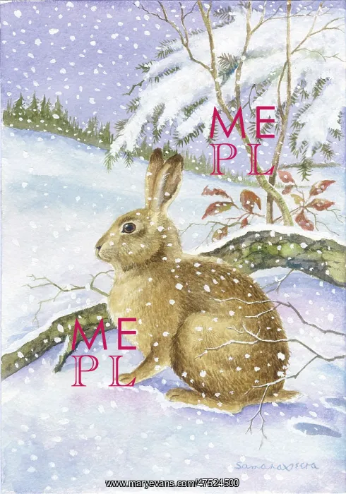  : Hare in the snow by a branch