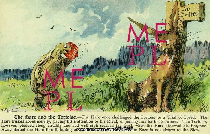 : The hare & the tortoise : The hare & the tortoise