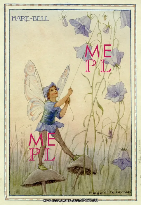 : Harebell Fairy : Harebell Fairy