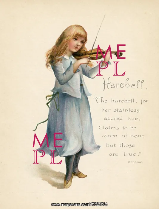  : Harebell - Language of Flowers