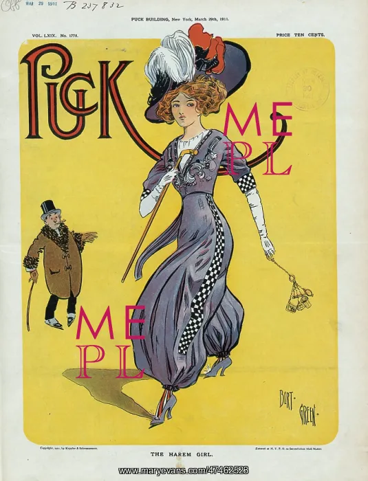 : The harem girl : The harem girl