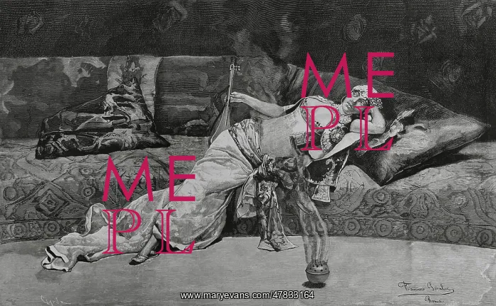 : In the Harem. Original drawing by Francisco Peralta : In the Harem. Original drawing by Francisco Peralta