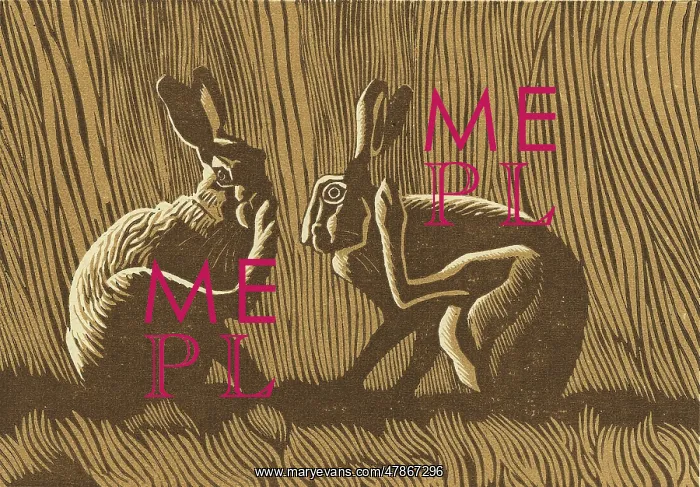 : TWO HARES IN A CORNFIELD : TWO HARES IN A CORNFIELD